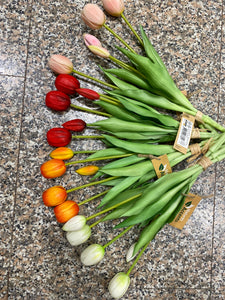 Tulipani bouquet 5 tulipani