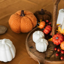 Carica l&#39;immagine nel visualizzatore di Gallery, Zucca Teddy piccola in tessuto
