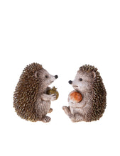 Carica l&#39;immagine nel visualizzatore di Gallery, Coppia di ricci decorativi
