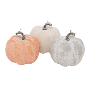 Zucca decorativa