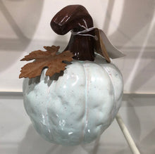 Carica l&#39;immagine nel visualizzatore di Gallery, Zucca alette
